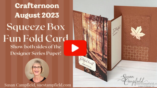 Squeeze Box Fun Fold Cards - Suestampfield